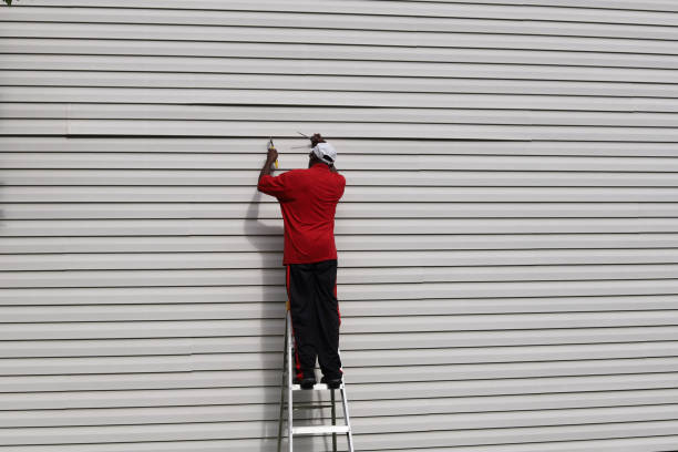 Best Custom Siding Design  in Belzoni, MS
