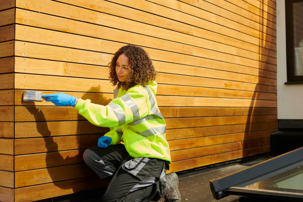 Best Brick Veneer Siding  in Belzoni, MS